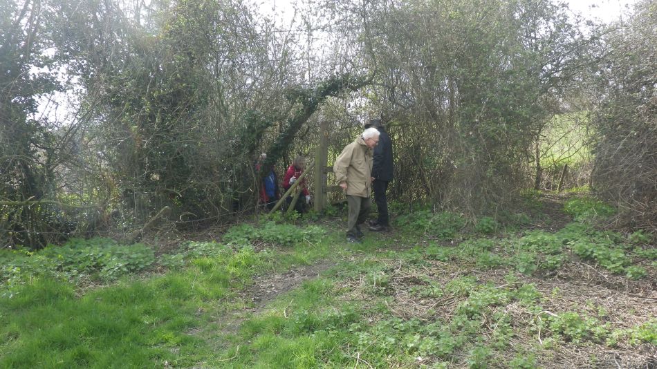 2017-03-22 15 Brockdish and Angles Way.jpg