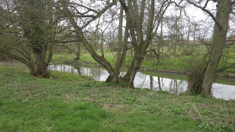 2017-03-22 17 Brockdish and Angles Way.jpg