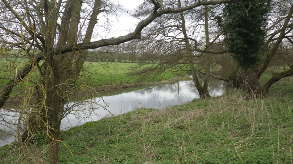 2017-03-22 18 Brockdish and Angles Way.jpg