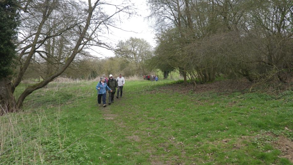 2017-03-22 19 Brockdish and Angles Way.jpg