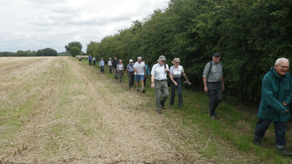 2017-08-02 05 Brockdish and Syleham.jpg