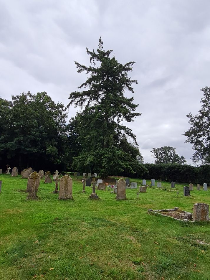 2021-08-26 19 Brockdish West.jpg