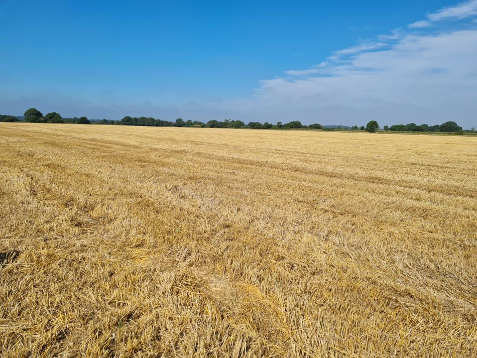 2021-09-09 06 Brockdish.jpg