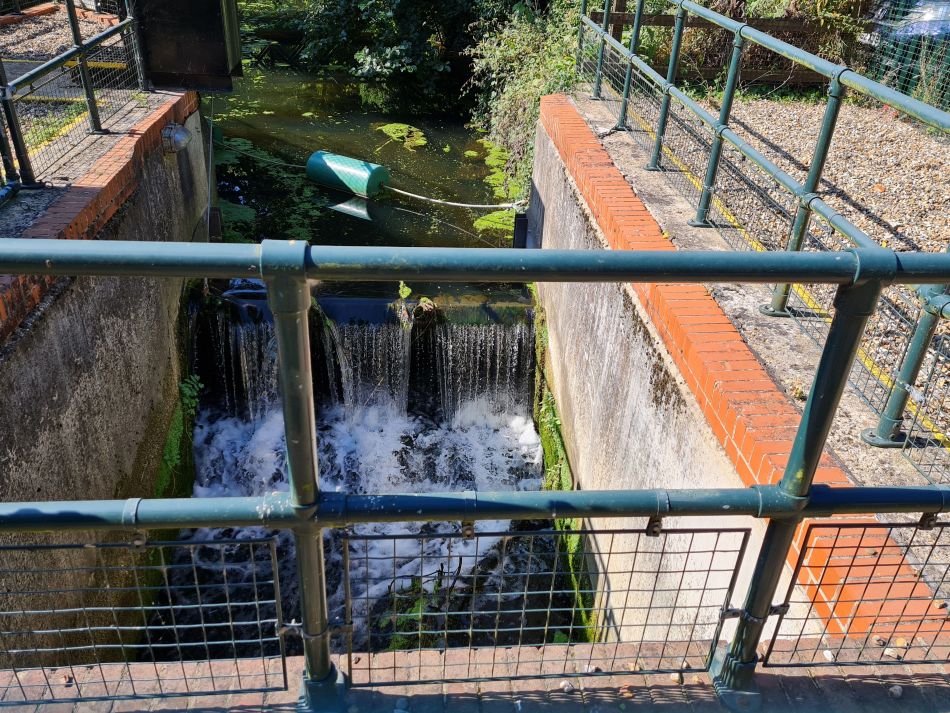 2021-09-09 08 Brockdish.jpg