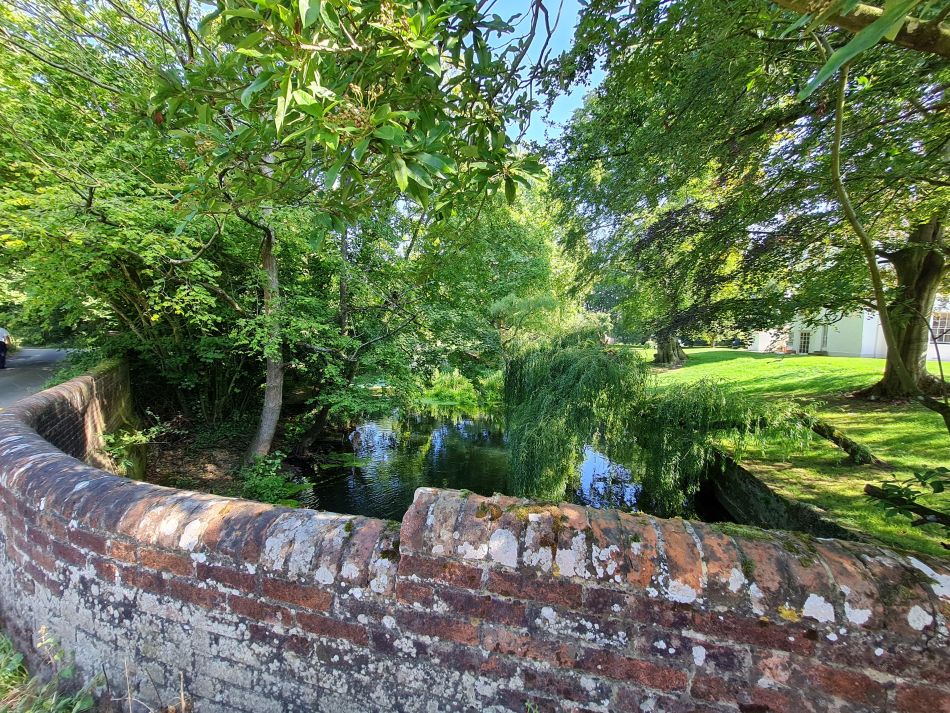 2021-09-09 09 Brockdish.jpg