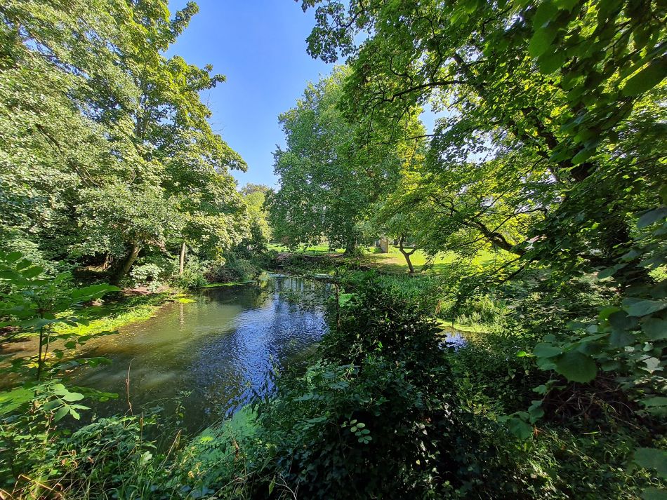 2021-09-09 10 Brockdish.jpg