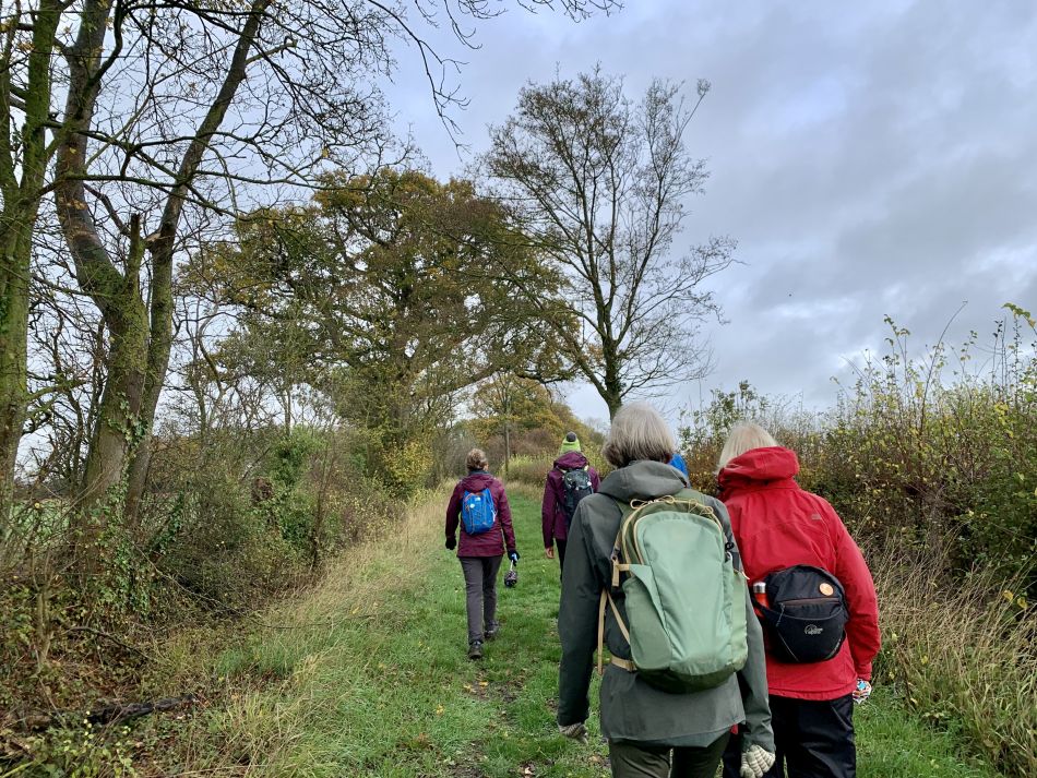 2022-11-20 03 Rushall and St Clements Common.jpg