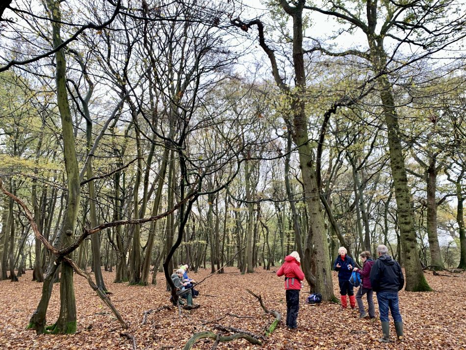 2022-11-20 05 Rushall and St Clements Common.jpg