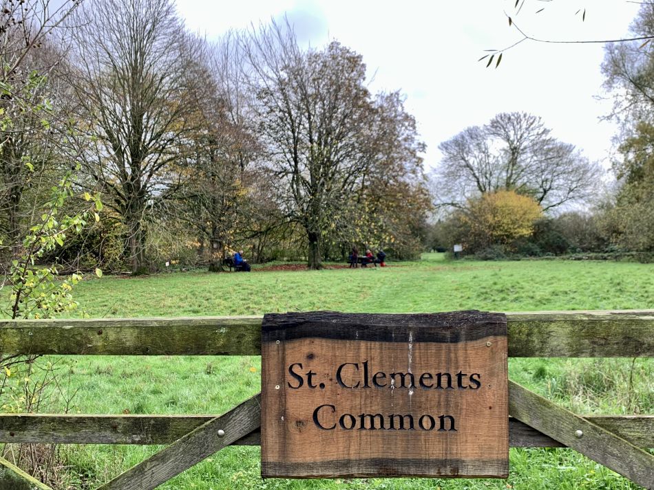 2022-11-20 06 Rushall and St Clements Common.jpg