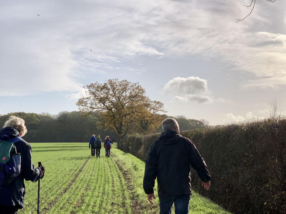 2022-11-20 09 Rushall and St Clements Common.jpg