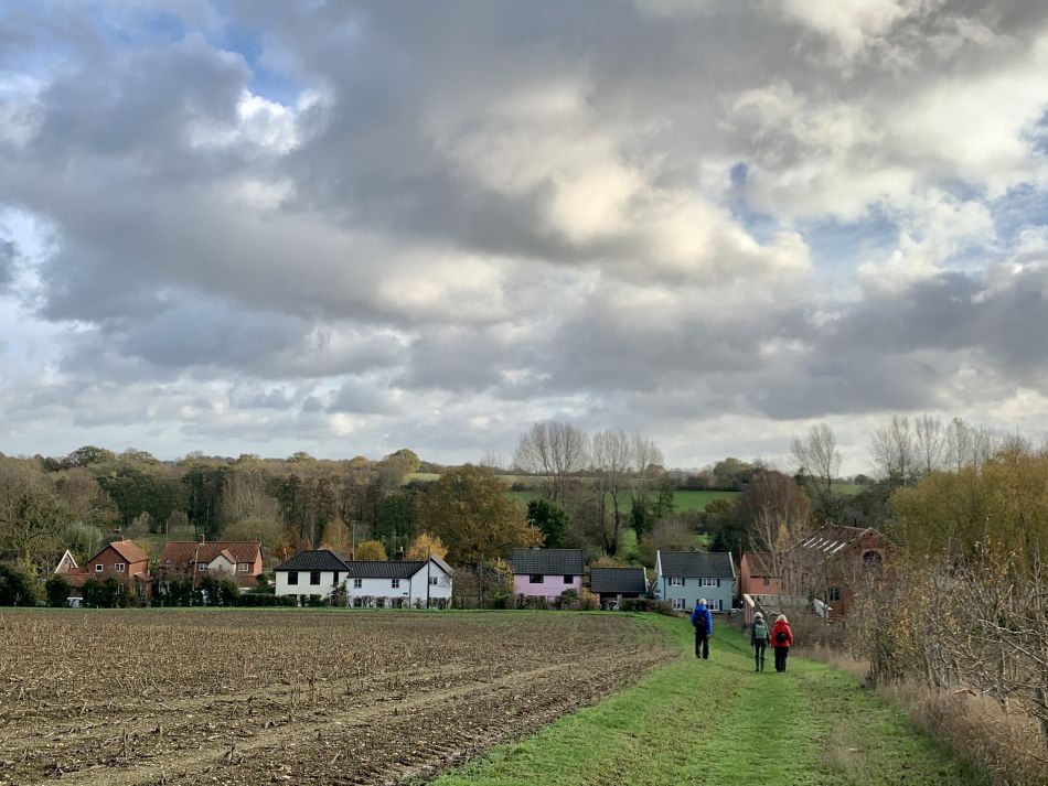 2022-11-20 10 Rushall and St Clements Common.jpg