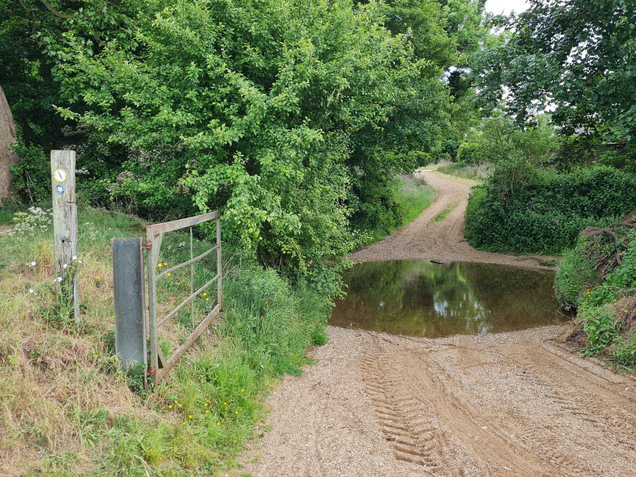 2025-05-23 18 Diss Brockdish Bus Walk.jpg