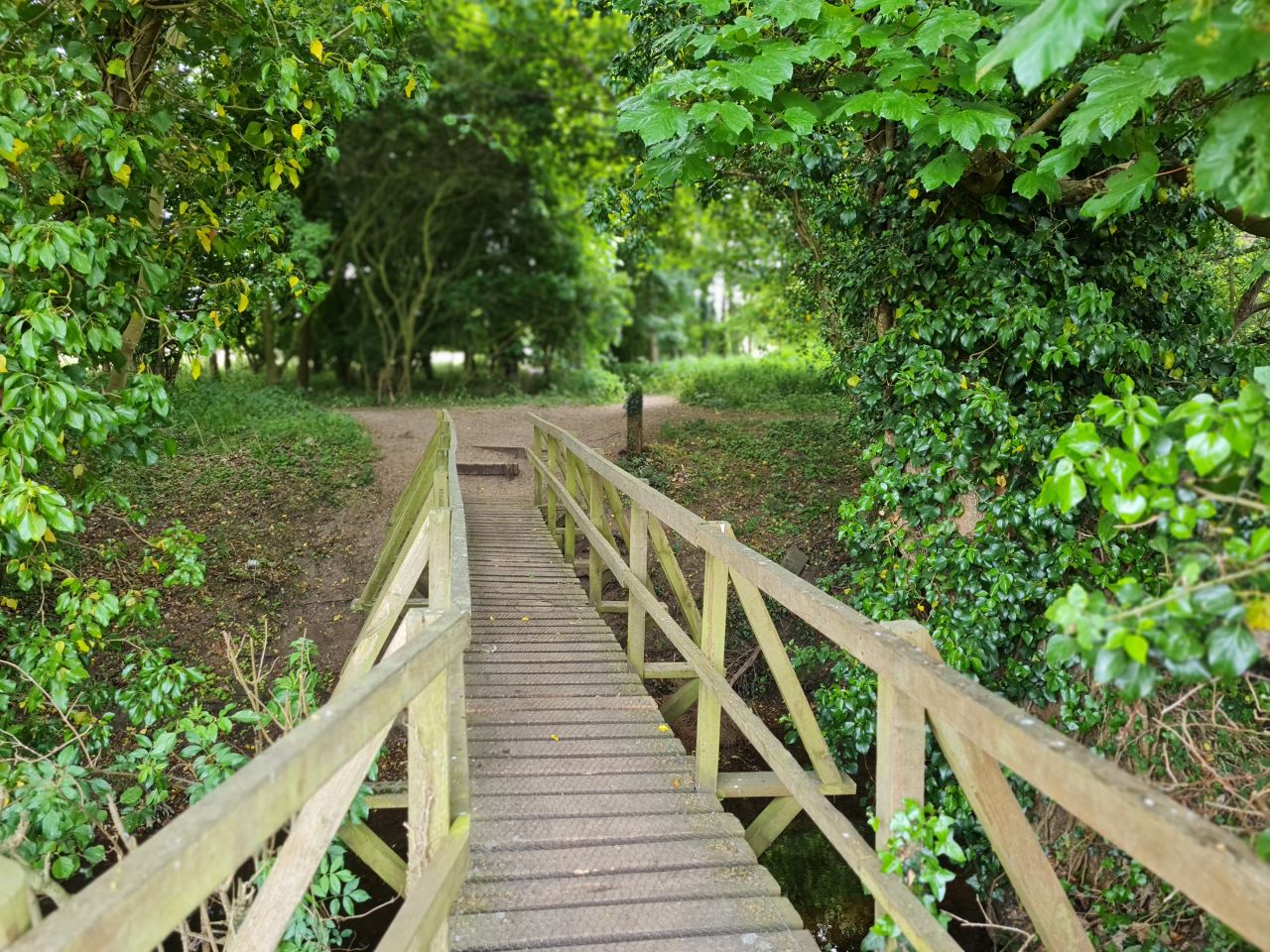 2025-05-23 20 Diss Brockdish Bus Walk.jpg