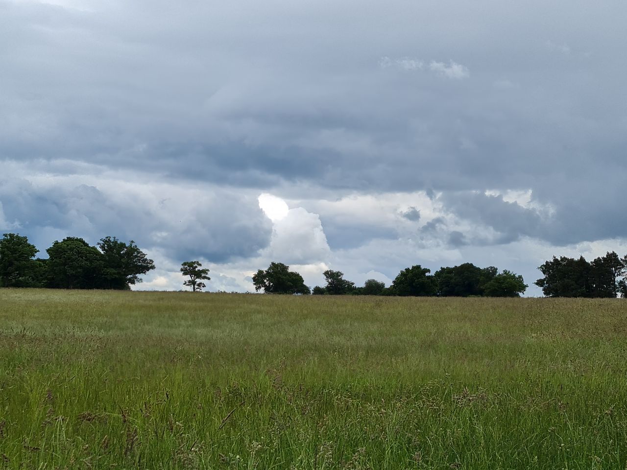 2025-06-07 01 Diss to Brockdish.jpg