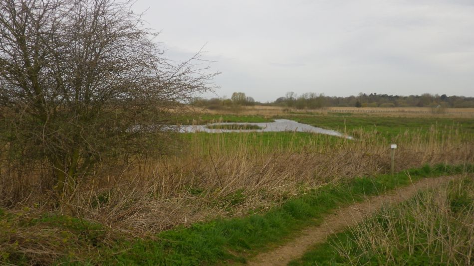 2018-04-17 01 Carlton and Share Marshes with GY Group.jpg