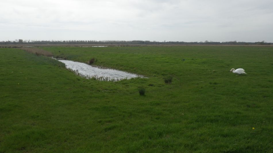 2018-04-17 05 Carlton and Share Marshes with GY Group.jpg