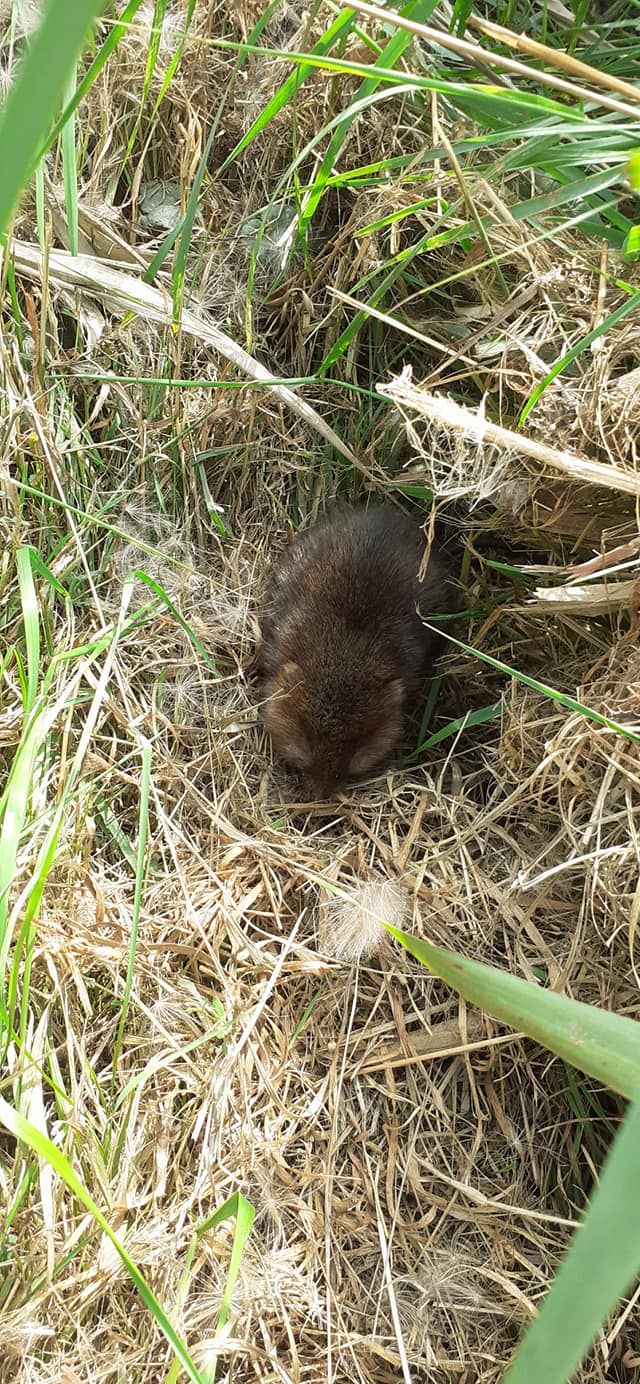 2022-09-03 11 Carlton Wildlife Centre Joint Walk.jpg