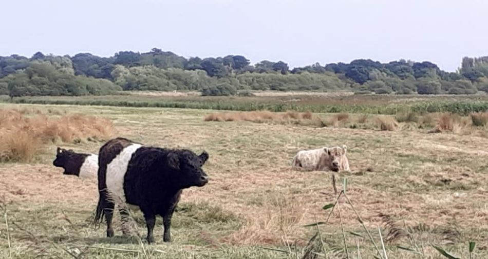 2022-09-03 15 Carlton Wildlife Centre Joint Walk.jpg