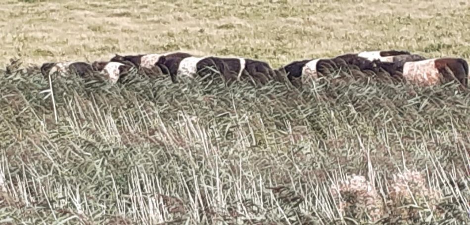 2022-09-03 16 Carlton Wildlife Centre Joint Walk.jpg