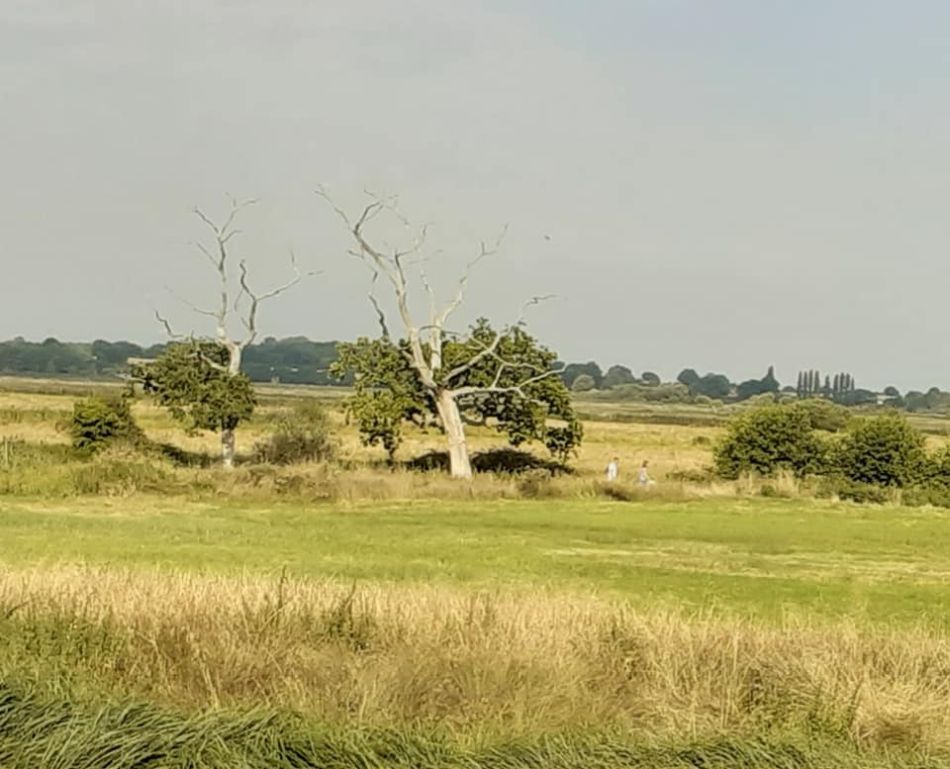 2022-09-03 19 Carlton Wildlife Centre Joint Walk.jpg