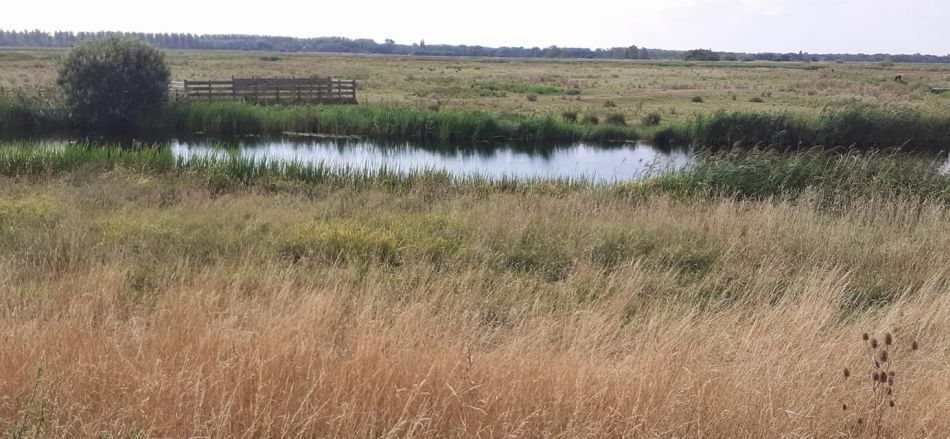 2022-09-03 20 Carlton Wildlife Centre Joint Walk.jpg