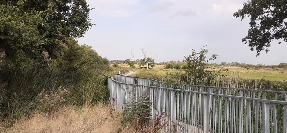 2022-09-03 21 Carlton Wildlife Centre Joint Walk.jpg