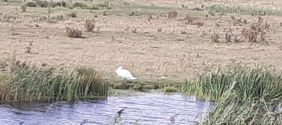 2022-09-03 22 Carlton Wildlife Centre Joint Walk.jpg