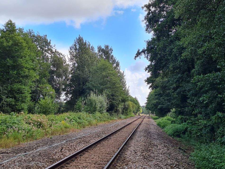 2022-09-08 11 Angles Way 22 - Carlton Marshes.jpg