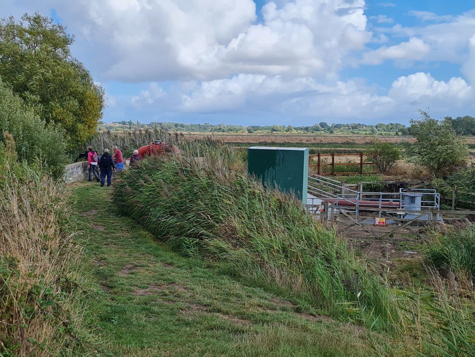 2022-09-08 15 Angles Way 22 - Carlton Marshes.jpg