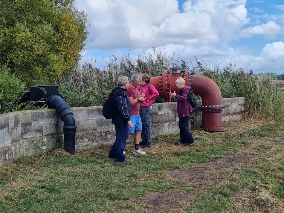 2022-09-08 16 Angles Way 22 - Carlton Marshes.jpg