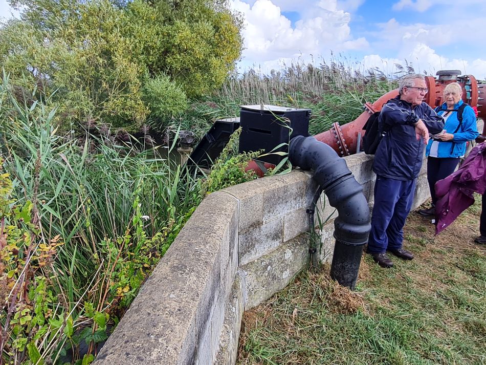 2022-09-08 17 Angles Way 22 - Carlton Marshes.jpg