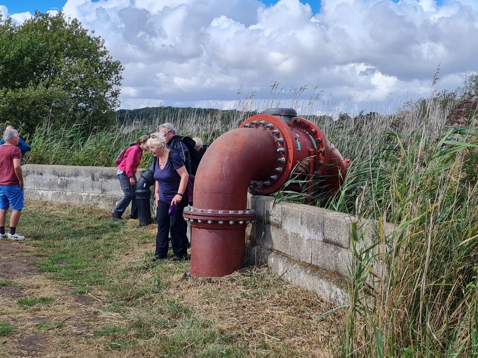 2022-09-08 18 Angles Way 22 - Carlton Marshes.jpg