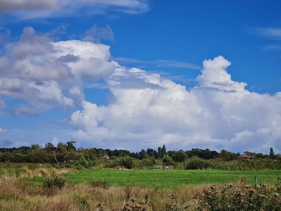 2022-09-08 21 Angles Way 22 - Carlton Marshes.jpg
