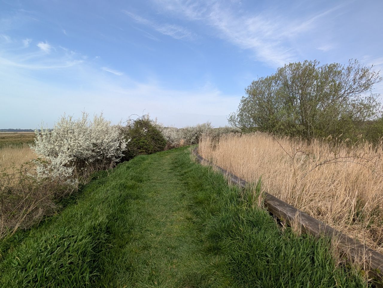 2026-04-09 02 Carlton Marshes.jpg