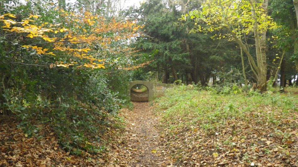 2017-12-06 12 Dunwich Christmas Lunch Walk.jpg