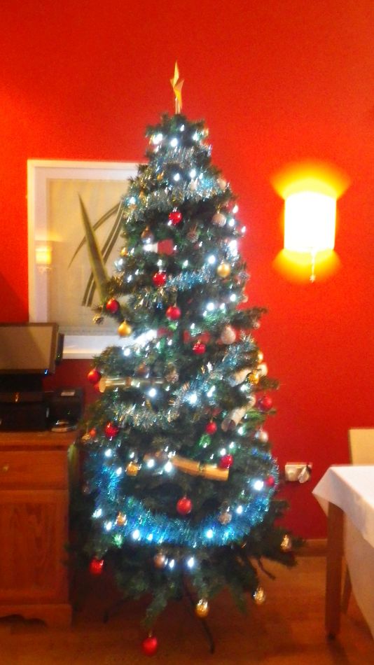 2017-12-06 19 Dunwich Christmas Lunch Walk.jpg