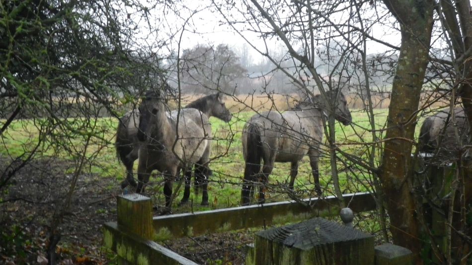 2018-12-05 05 Dunwich Christmas Lunch Walk.jpg