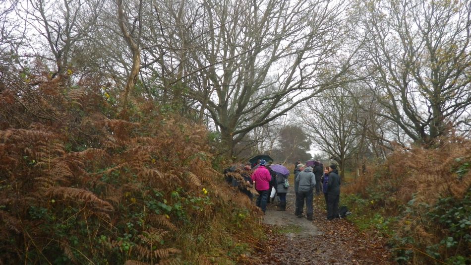 2018-12-05 07 Dunwich Christmas Lunch Walk.jpg