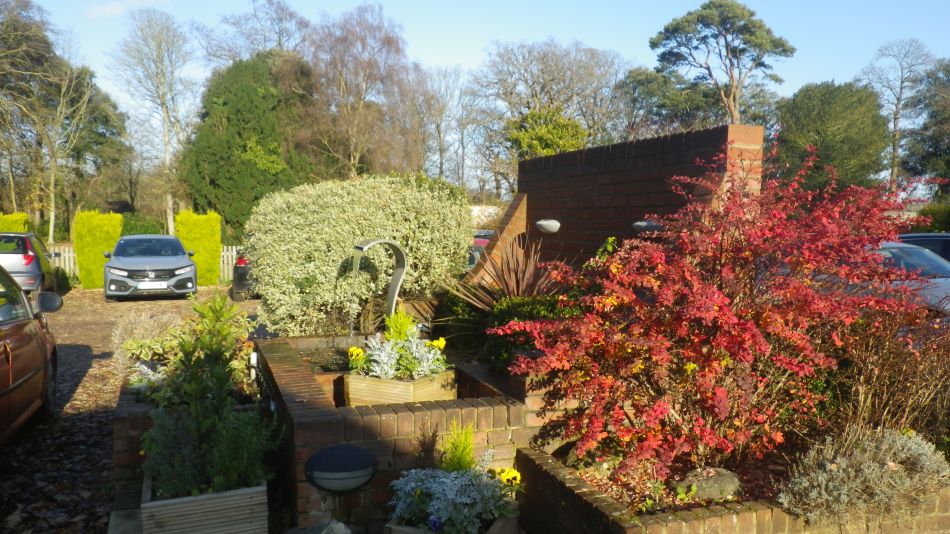 2019-12-04 08 Christmas Lunch Walk.jpg