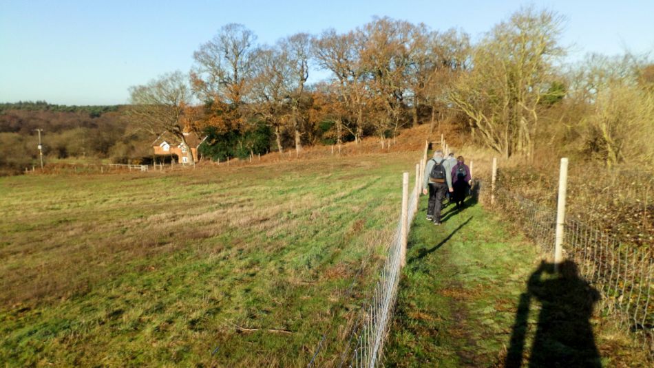 2019-12-04 15 Christmas Lunch Walk.jpg