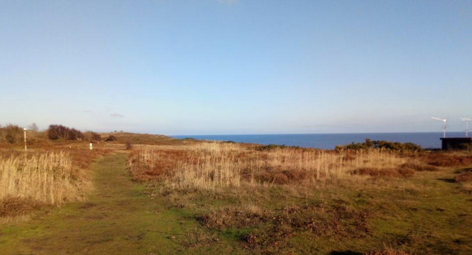 2019-12-04 16 Christmas Lunch Walk.jpg