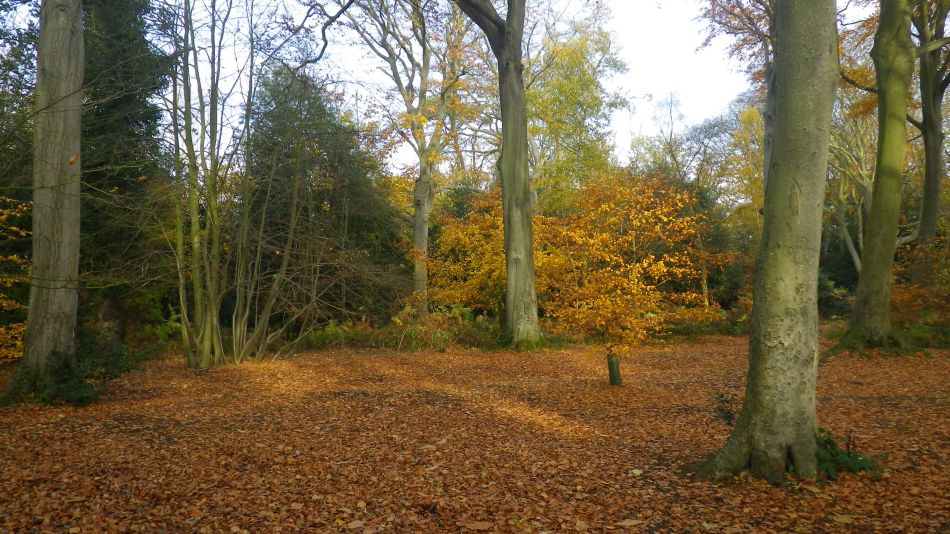 2017-11-22 08 Corton and Gunton.jpg