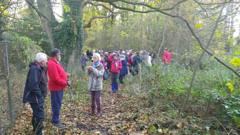 2017-11-22 10 Corton and Gunton.jpg