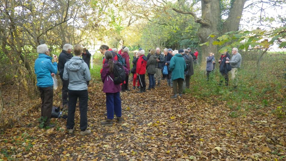 2017-11-22 11 Corton and Gunton.jpg