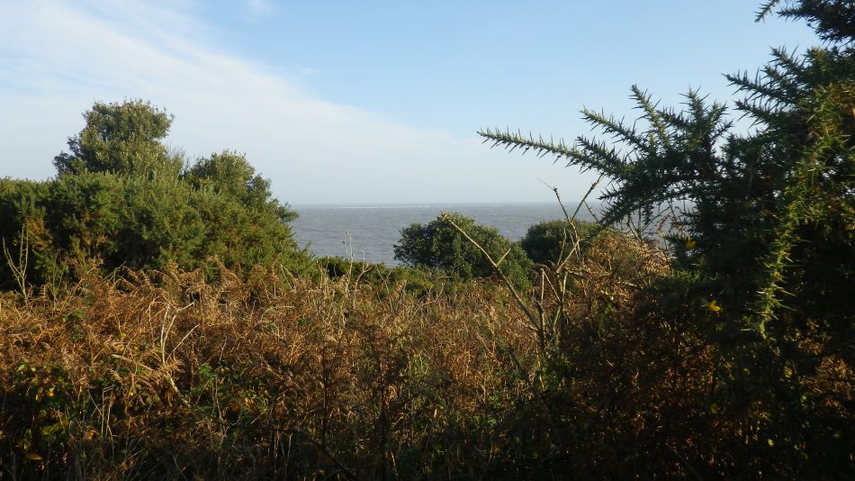 2017-11-22 12 Corton and Gunton.jpg