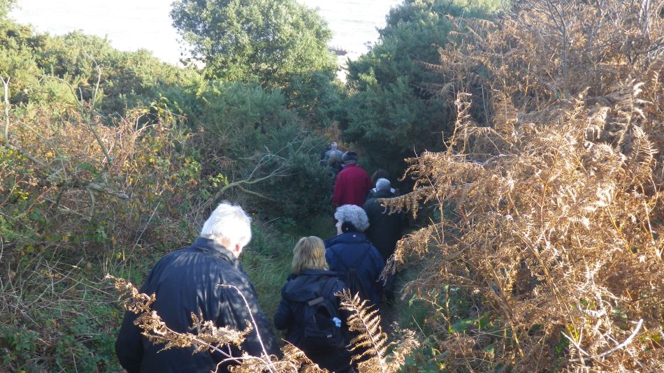 2017-11-22 13 Corton and Gunton.jpg