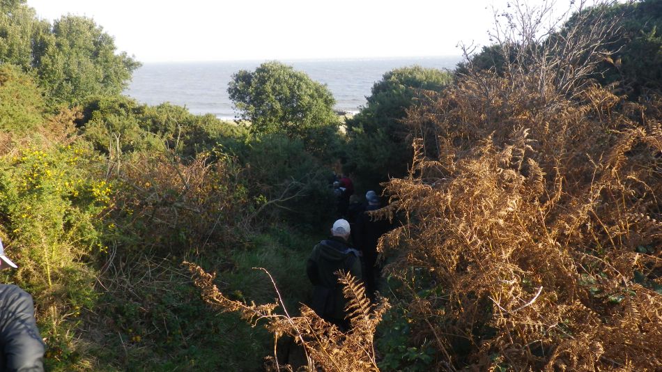 2017-11-22 14 Corton and Gunton.jpg