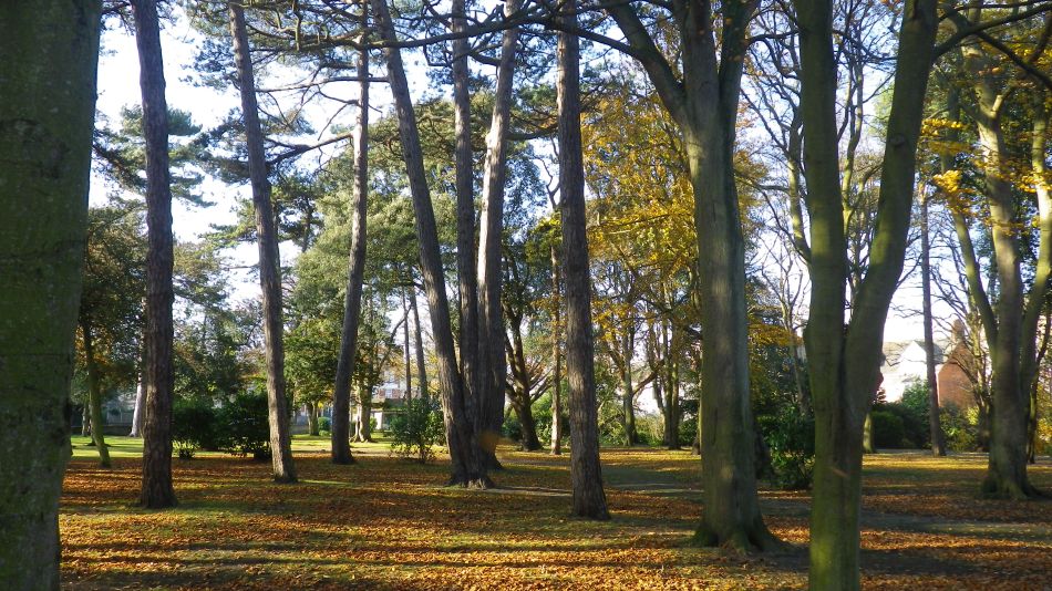 2017-11-22 24 Corton and Gunton.jpg