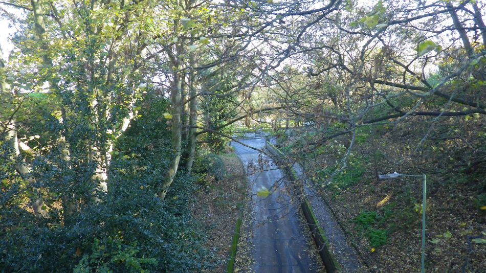 2017-11-22 27 Corton and Gunton.jpg