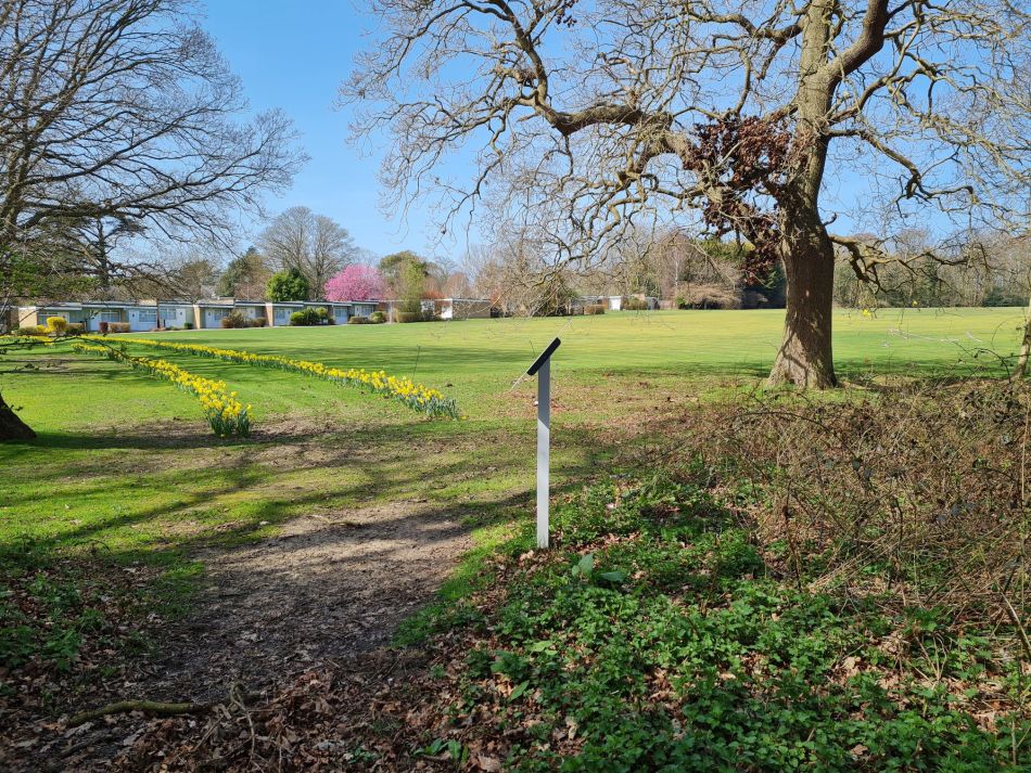 2021-04-04 15 Coastal Caper.jpg